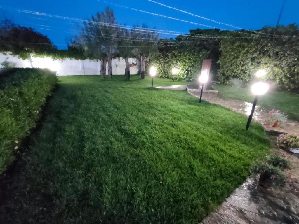 San Domenico Bed And Breakfast 托雷阿马莱 外观 照片