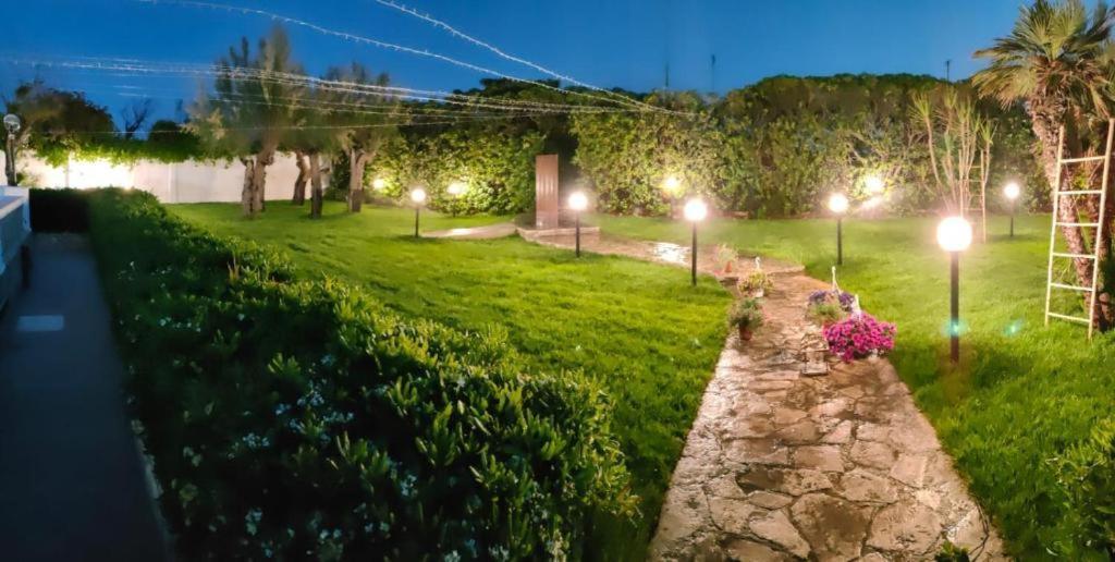 San Domenico Bed And Breakfast 托雷阿马莱 外观 照片