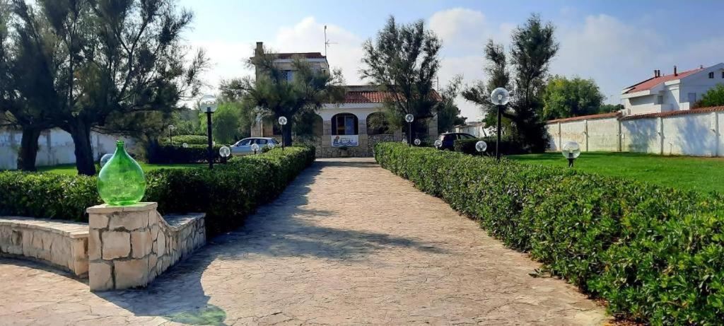 San Domenico Bed And Breakfast 托雷阿马莱 外观 照片