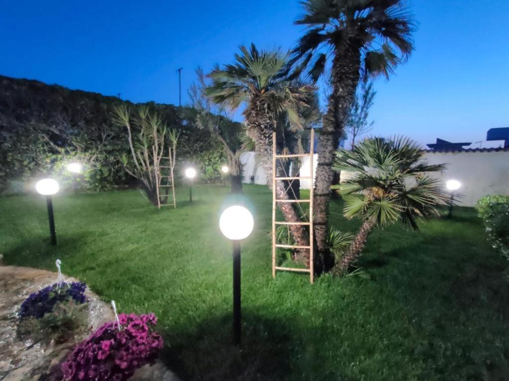 San Domenico Bed And Breakfast 托雷阿马莱 外观 照片