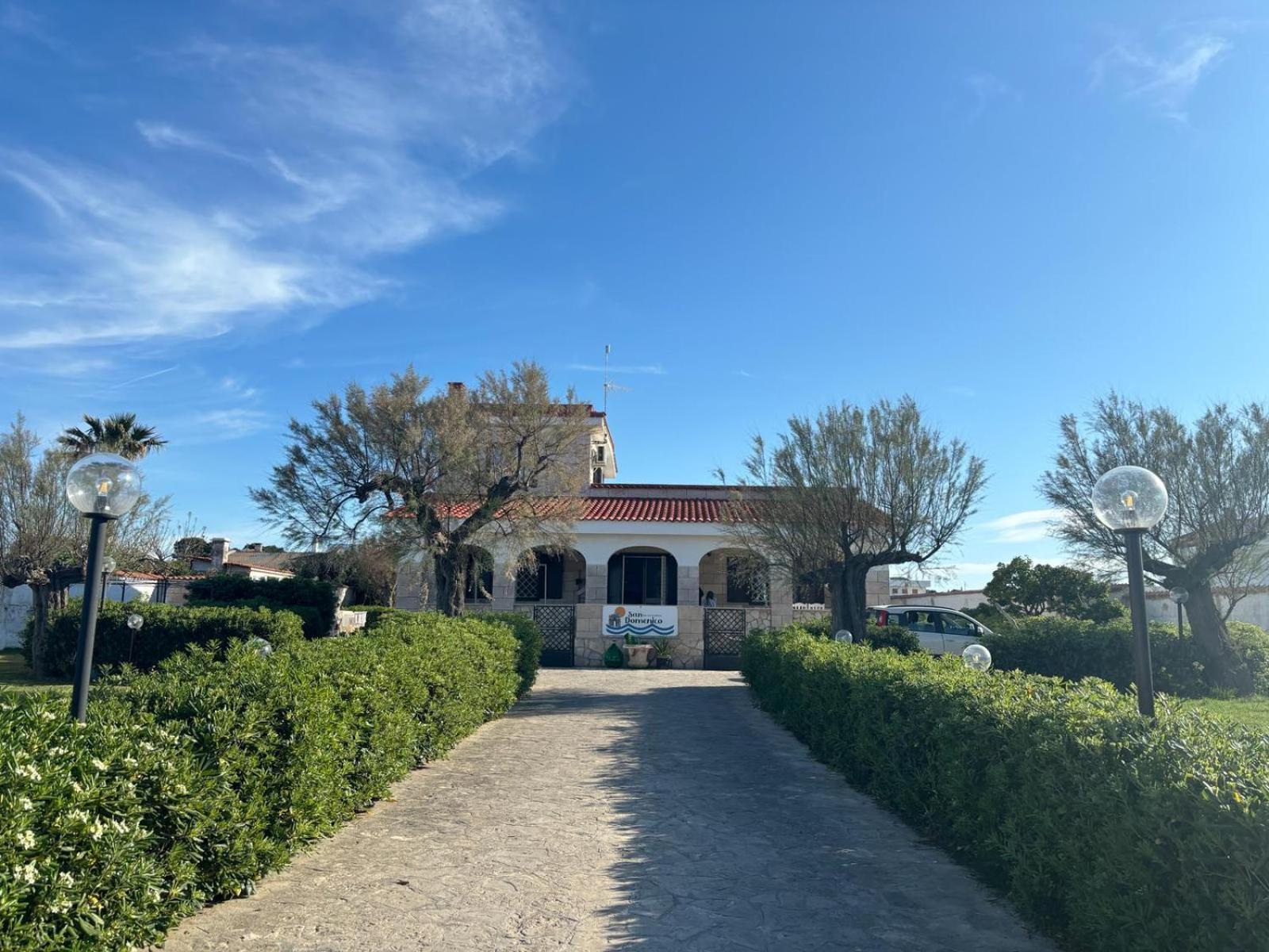 San Domenico Bed And Breakfast 托雷阿马莱 外观 照片