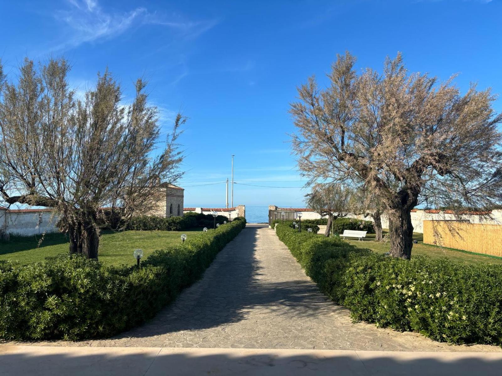 San Domenico Bed And Breakfast 托雷阿马莱 外观 照片