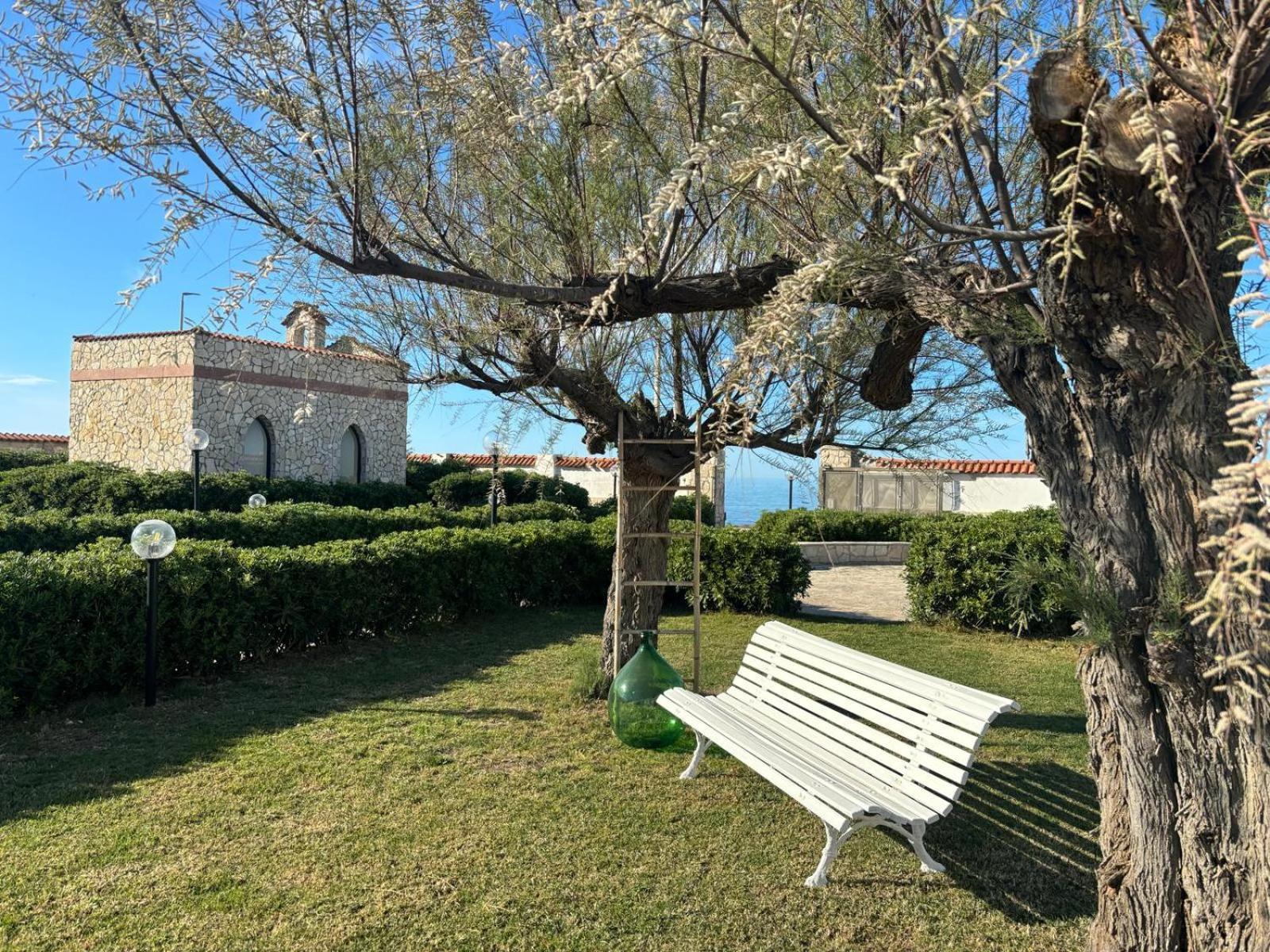 San Domenico Bed And Breakfast 托雷阿马莱 外观 照片