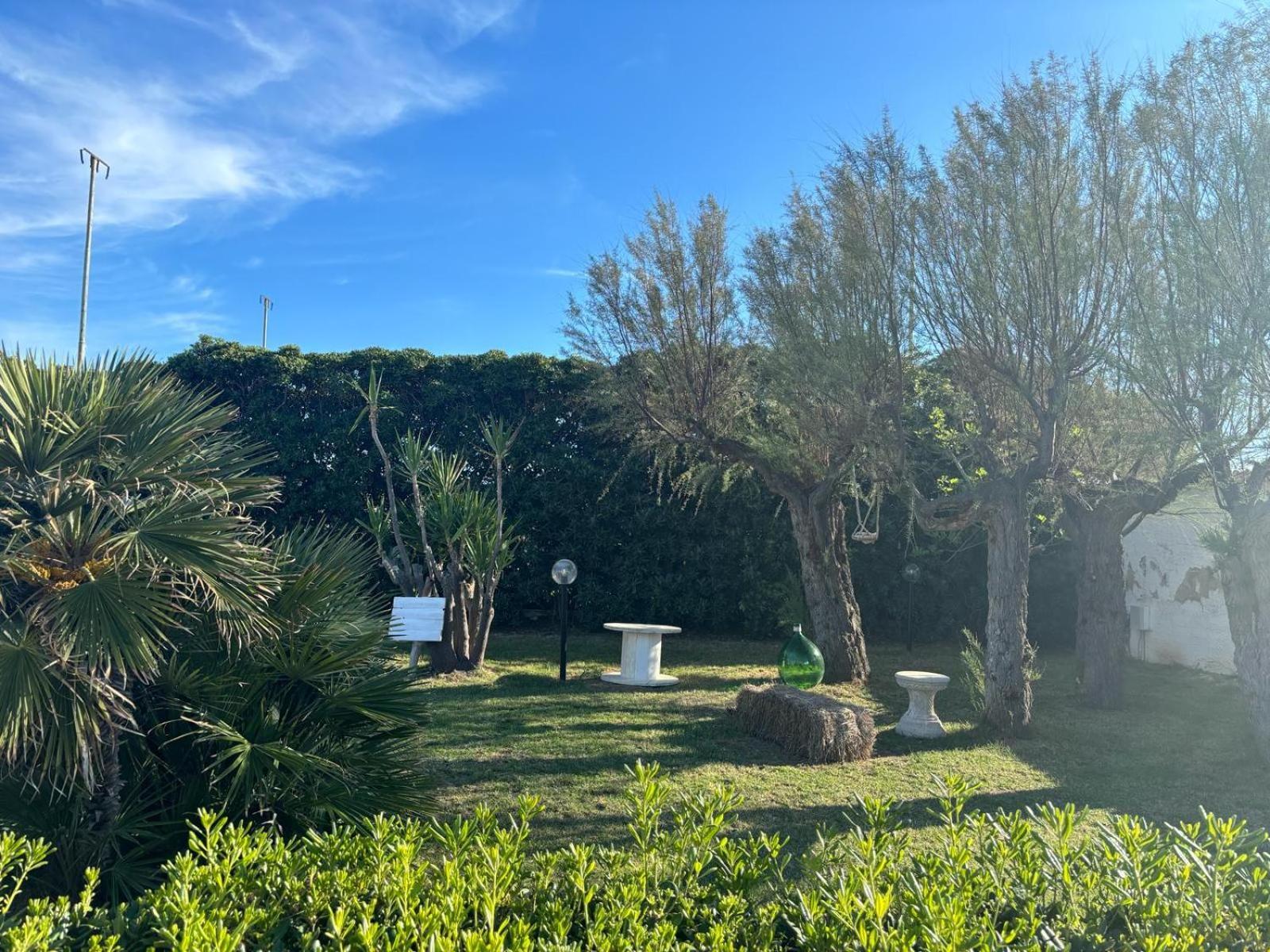 San Domenico Bed And Breakfast 托雷阿马莱 外观 照片